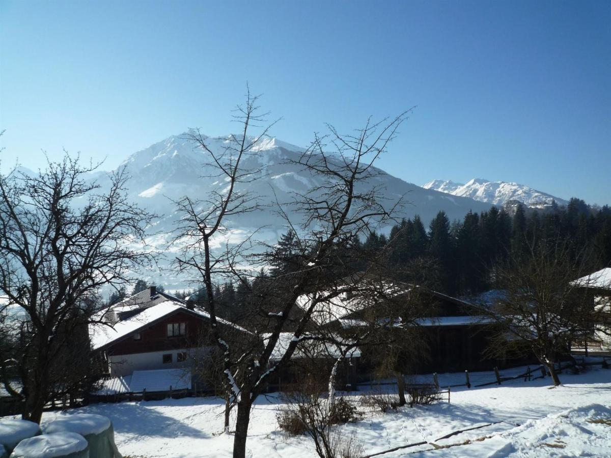 Spacious Apartment With Close To Skiing Points Mittersill Buitenkant foto